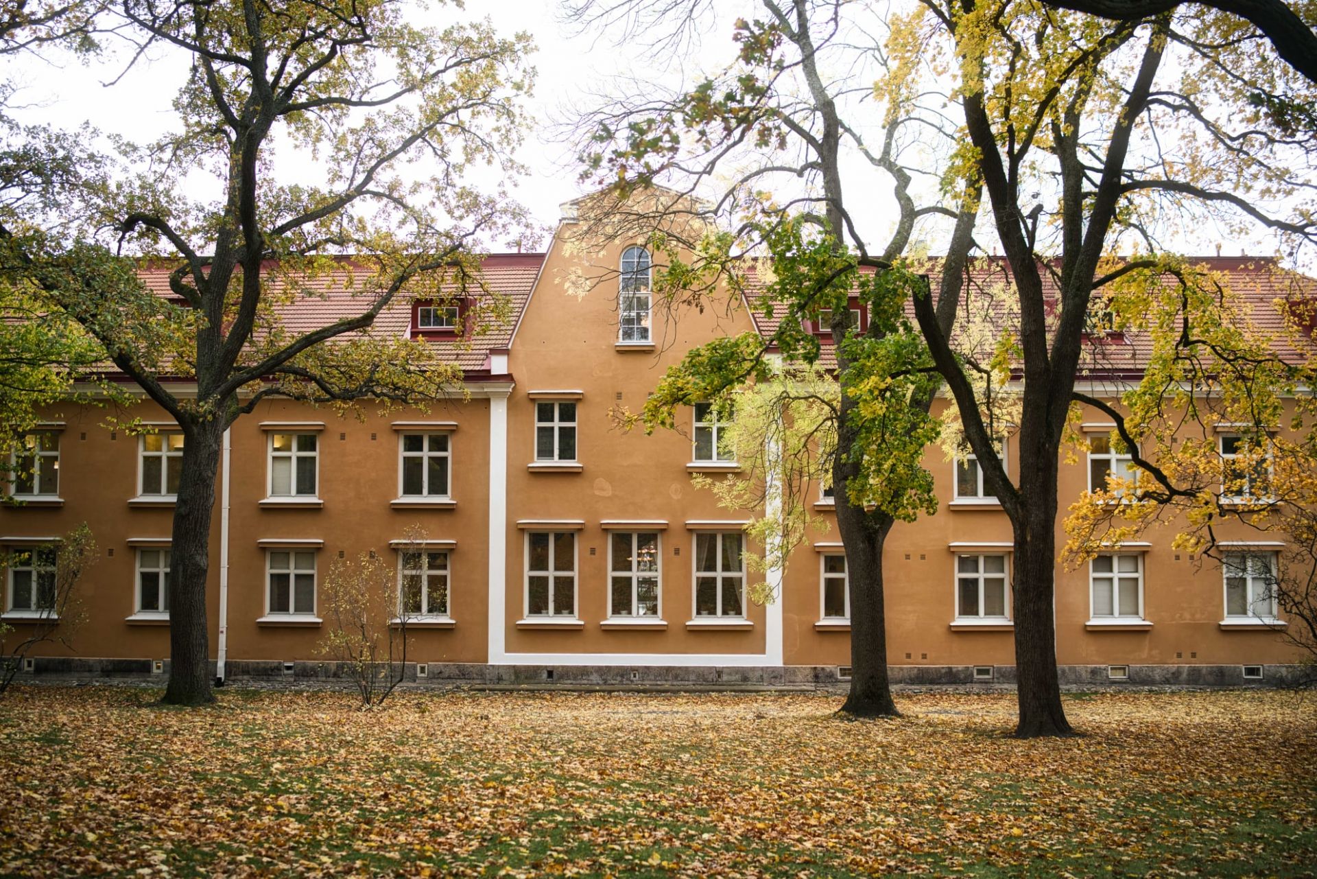 Bild på Villa Vinden i Åbo.